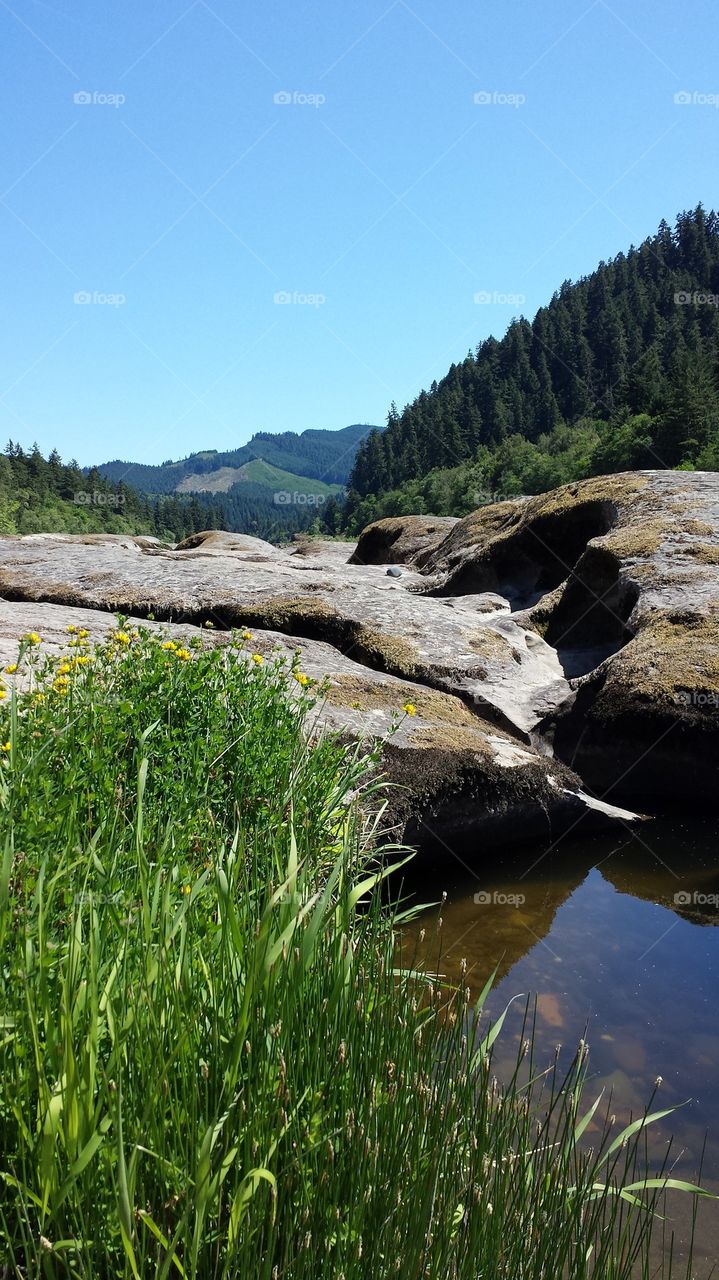 Umpqua River Pools