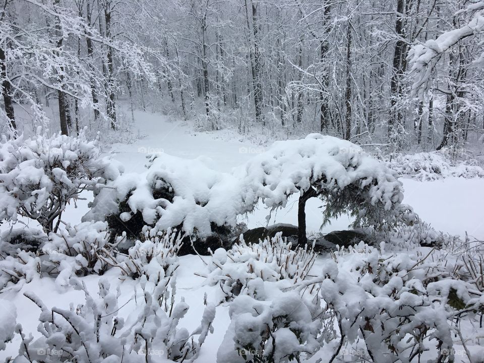 Snow Michigan 