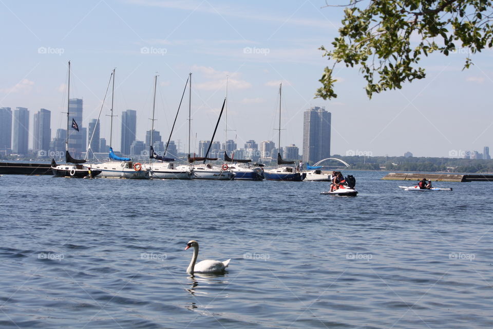 On the lake