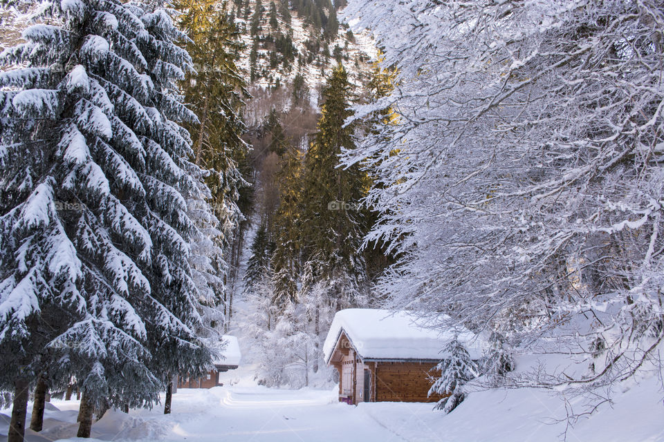 Small house covered with snow