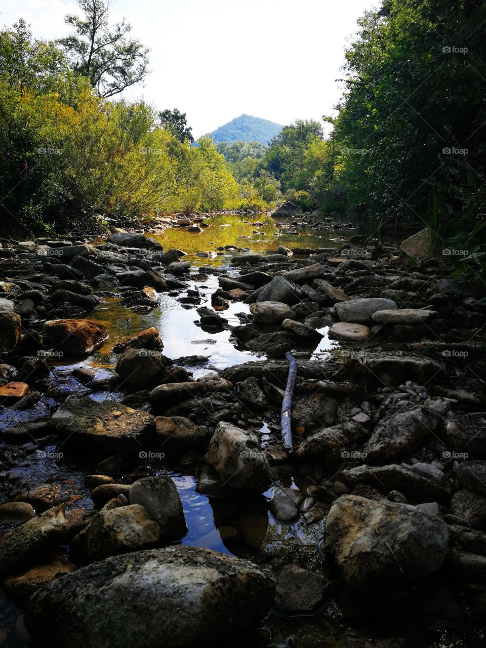 Water, River, Nature, Rock, Waterfall