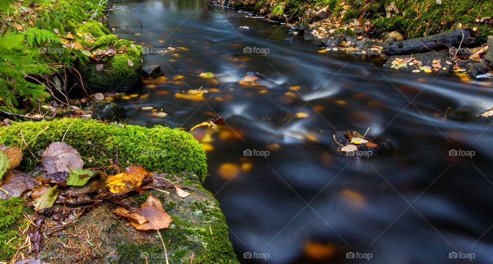 Scenic view of river