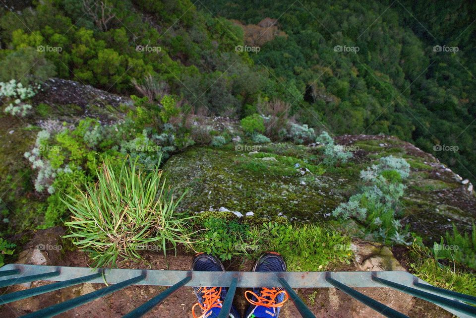 Hugh iver the Forrest 