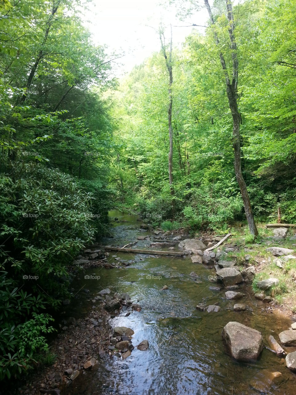 Wood, Water, Nature, Landscape, No Person