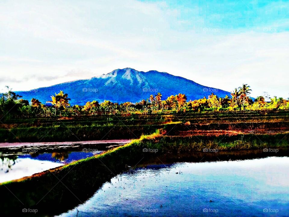 gunung gede