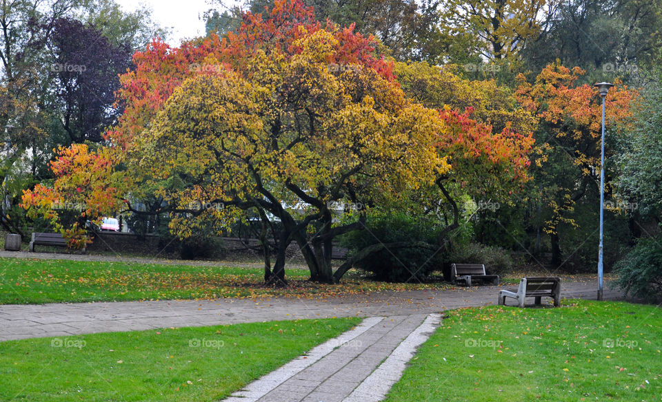 Autumn park in Gdynia 