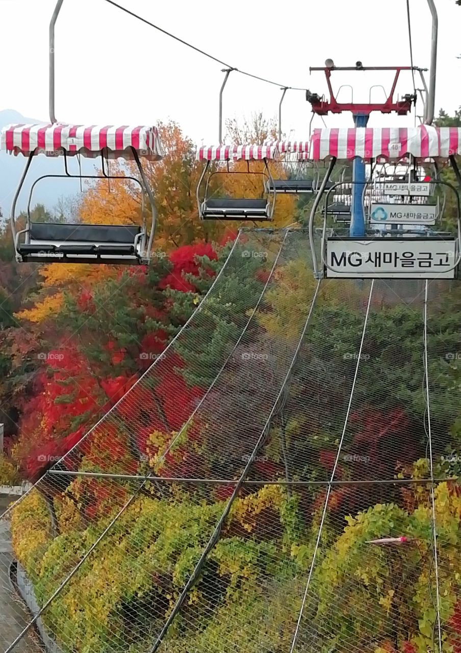Cable car, Grand Park, Seoul