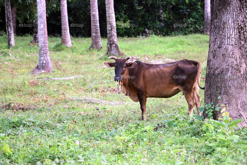 Off the beaten path in Krabi Thailand. This place is literally a hidden gem.