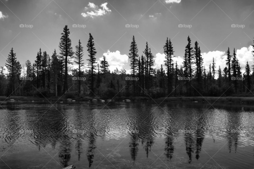 Navajo lake Utah 