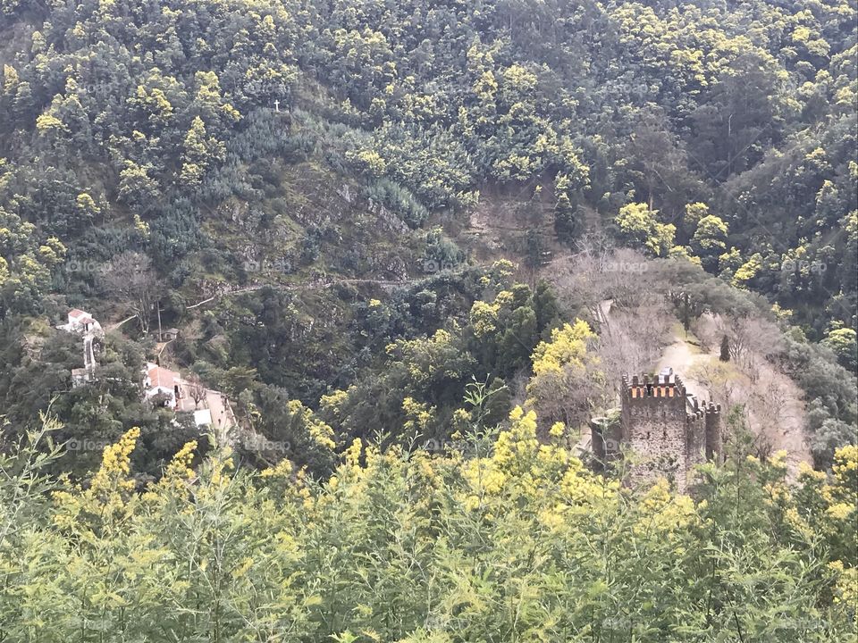 Castle, parque biológico da Lousã 