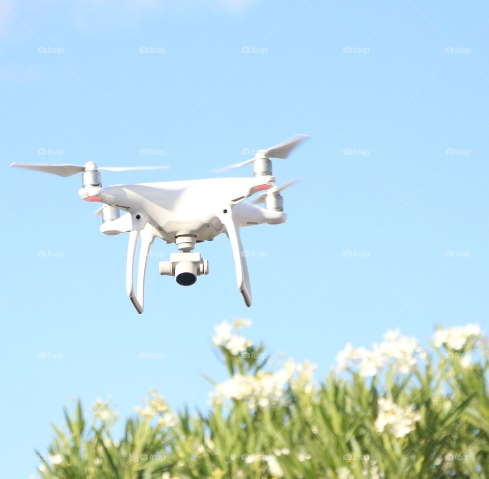 Drone flying over tree with flowers