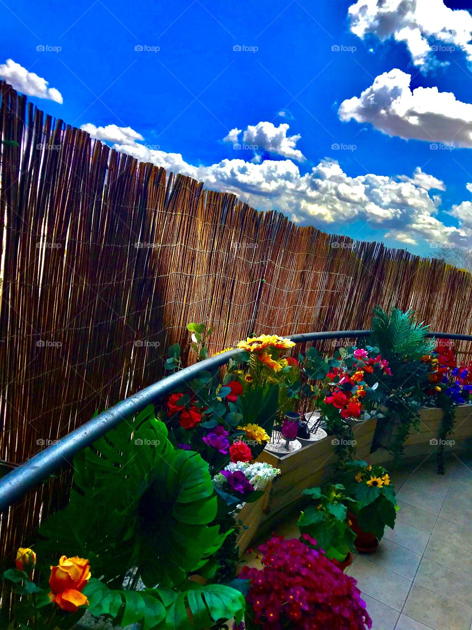 My Magic World Through My Eyes ..!!