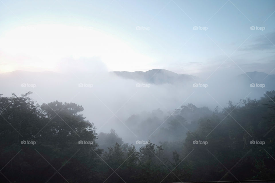 Fog covered the mountain