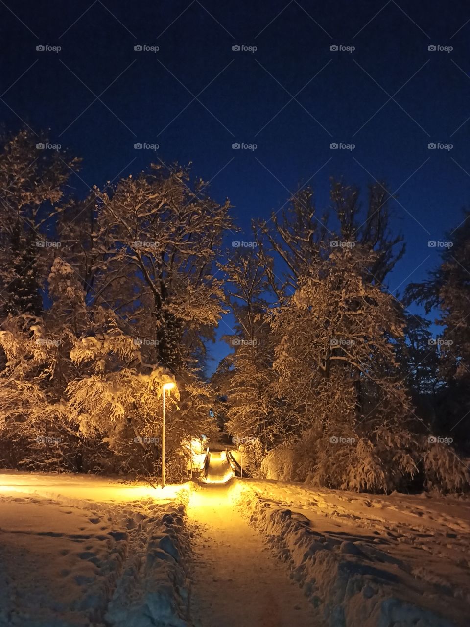Verwunschene Schneelandschaft bei Nacht