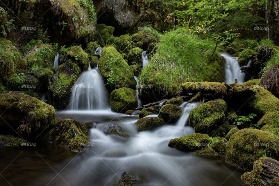 Luscious, green and mossy forest along Watson Creek below the falls in Oregon.  Many rocks and trees create lots of mini waterfalls. 