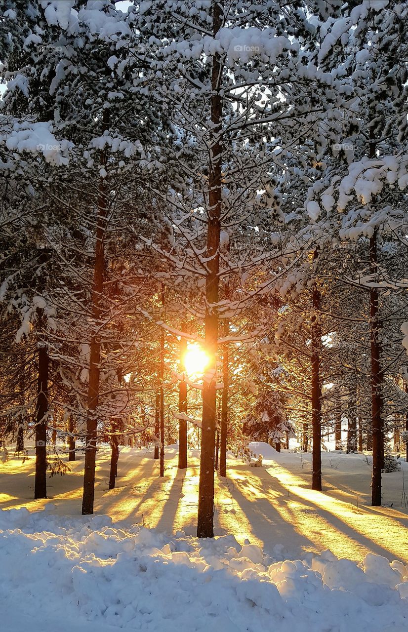 Beautiful dat in january