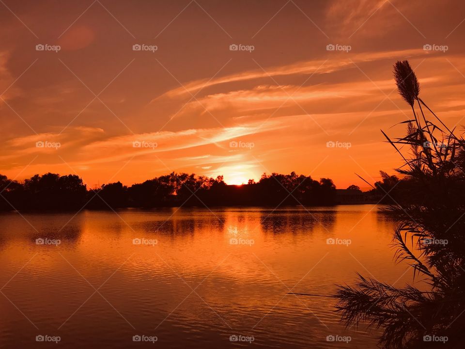 Ahhhh the evening is near the powerful Summer Sun is dropping with the cooling of the sky. The darkening Horizon will give in night but not before the heated sky turns to powered Golden Dust. 