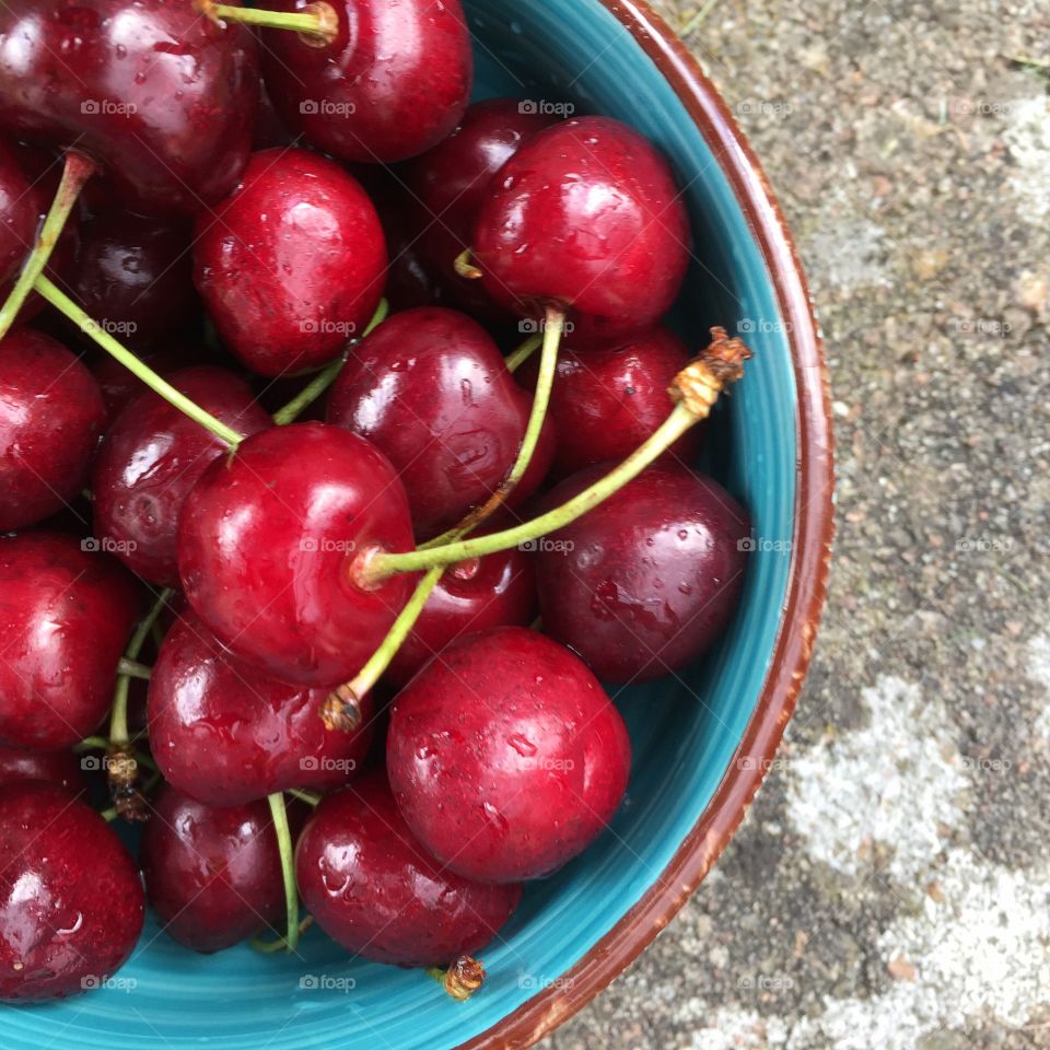 Bowl of Cherries 