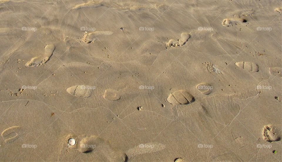 On the beach