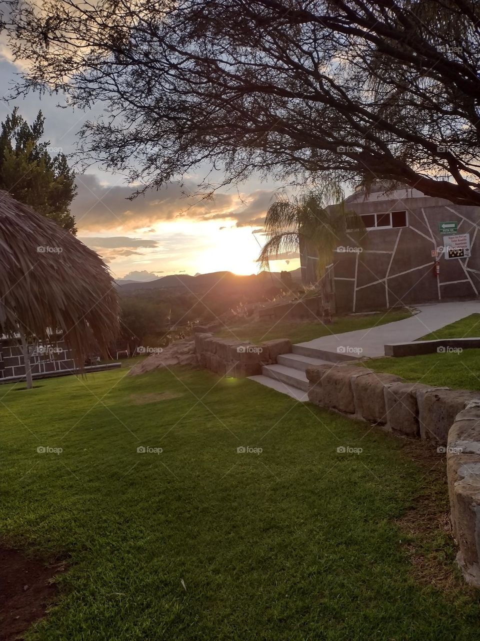 The Sunset i. the Country Side