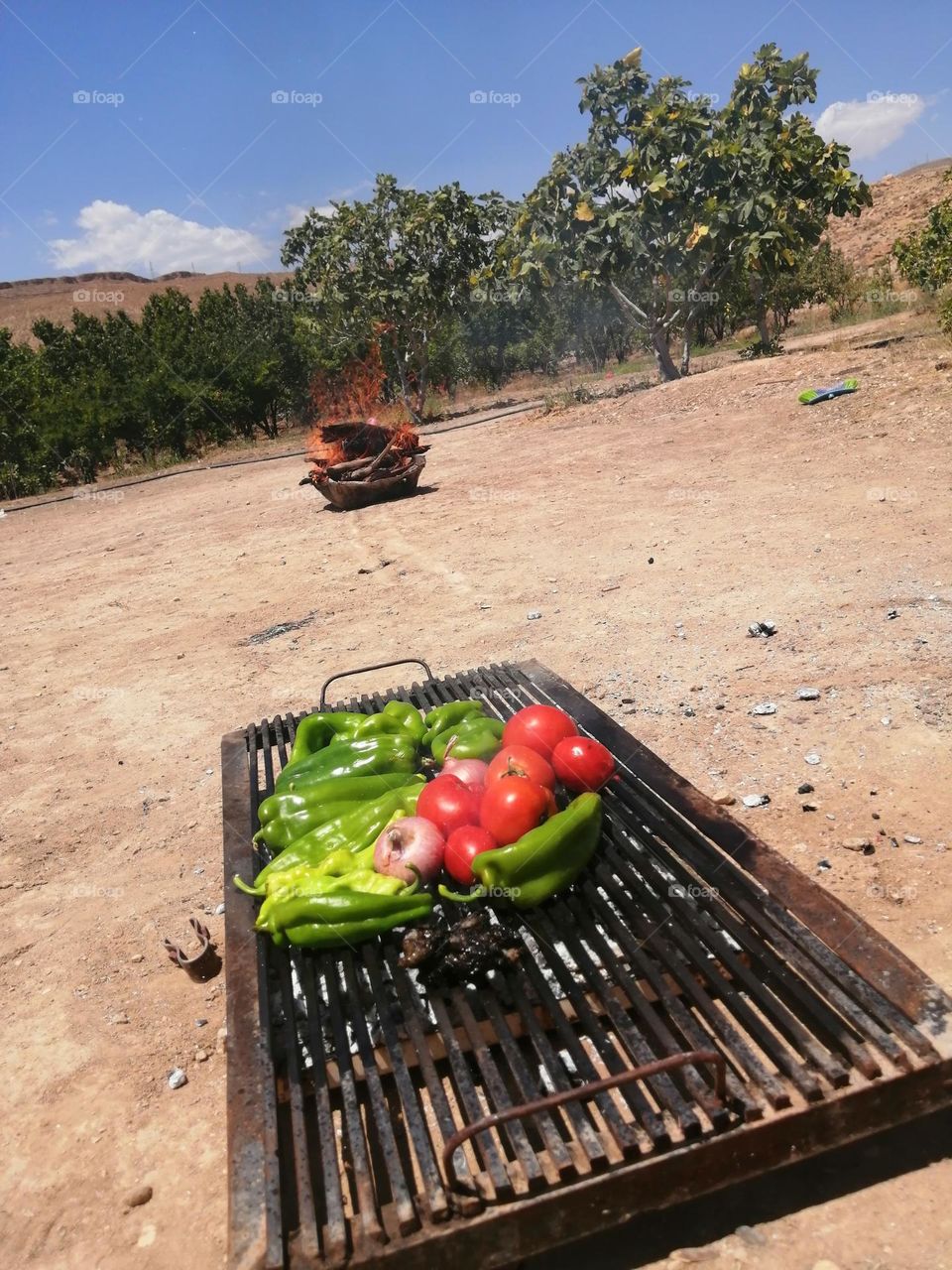 countryside: making a vegan barbecue .