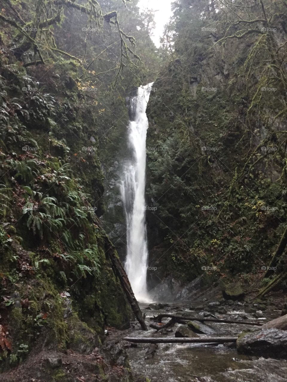 Waterfall at Goldstream Park on Vancouver Island, British Columbia, Canada. 