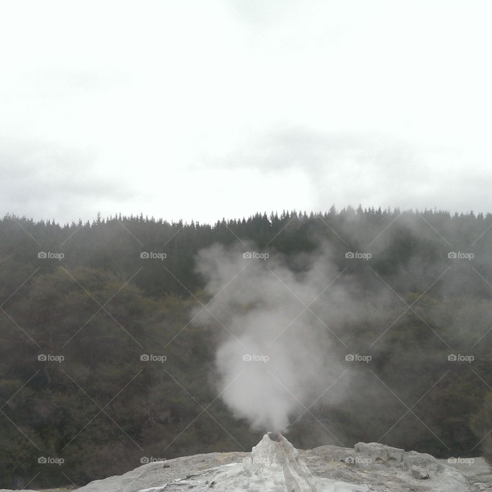 little vulcano in the forrest