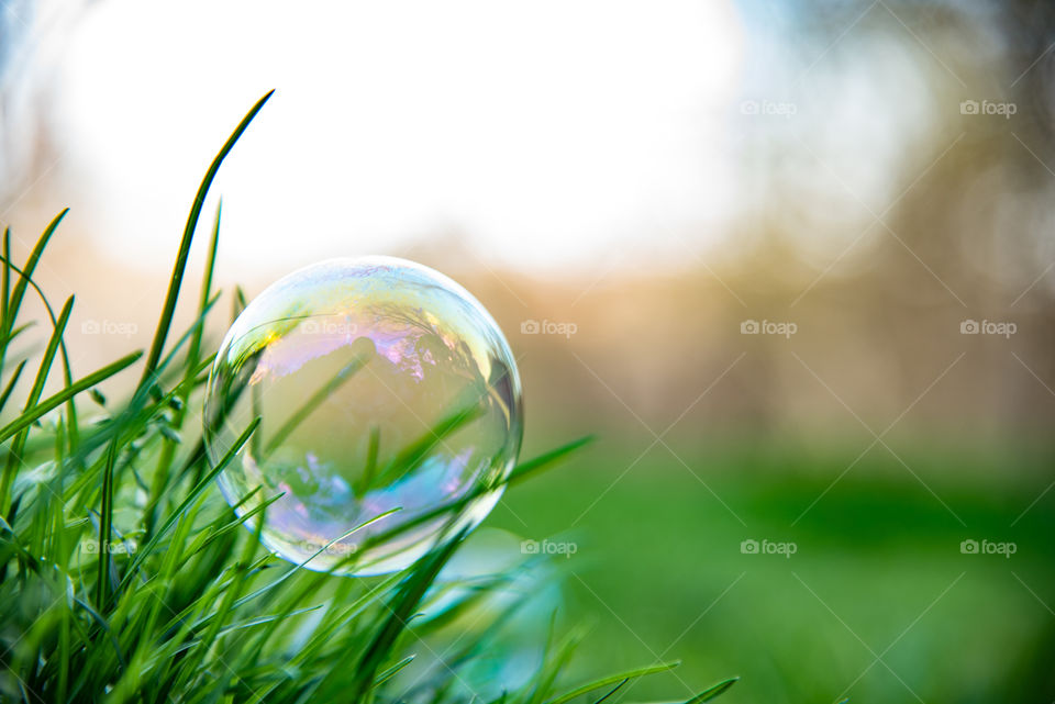 Bubbles on grass