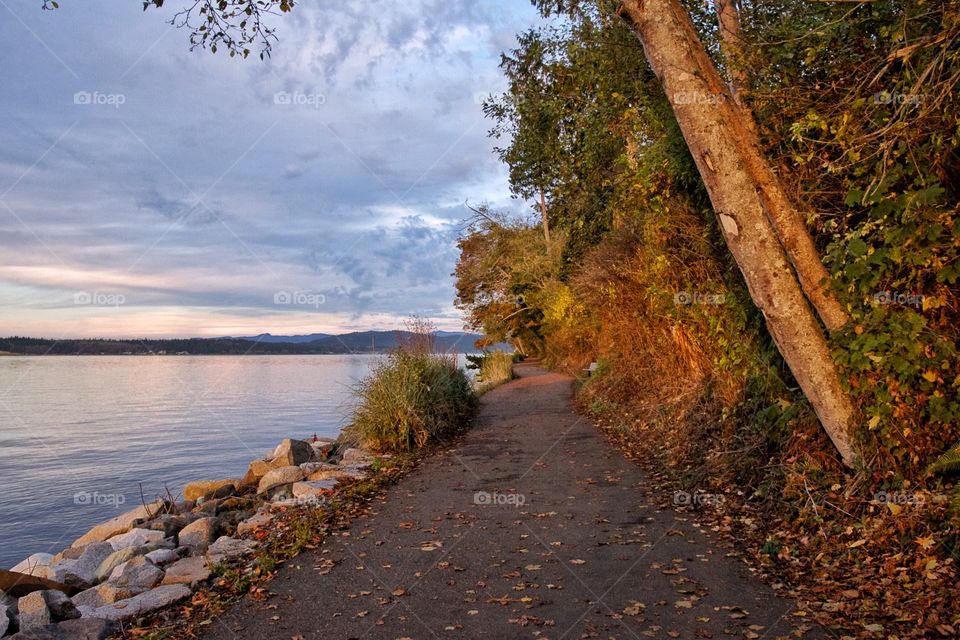 Autumn trail