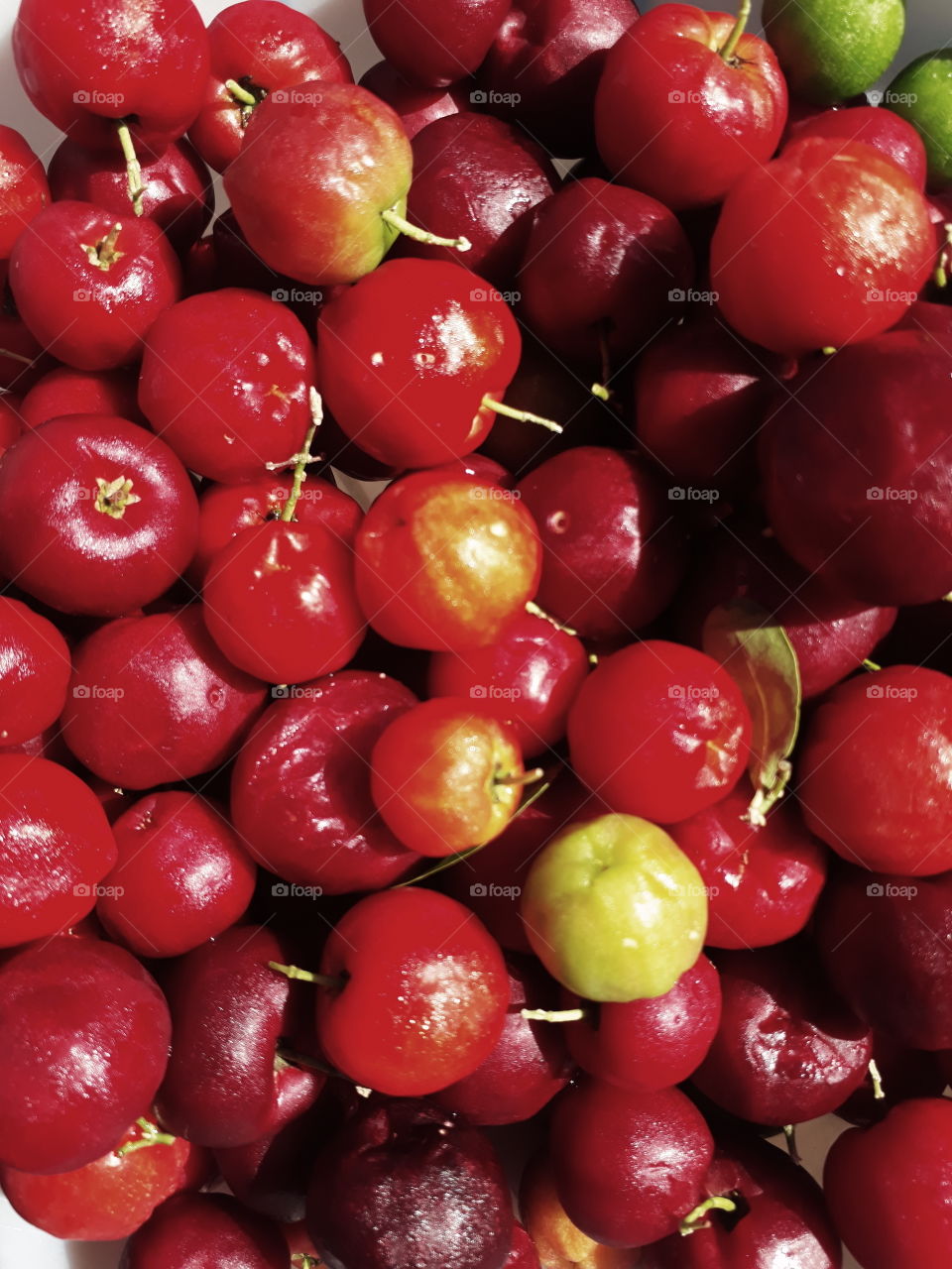 The acerola, azerola, parsnip, cherry-de-barbados or cherry-of-the-Antilles is a shrub of the Malpighiaceae family. The fruit is in a tree called Aceroleira. It originates in the Antilles, Central America and northern South America