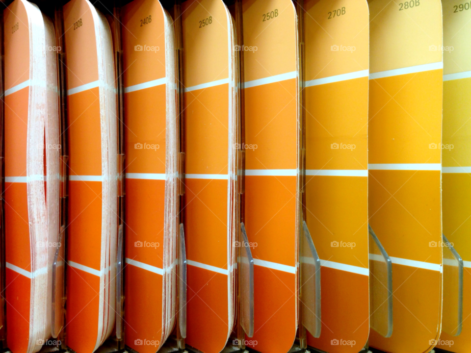 yellow photography orange backgrounds by jmsilva59