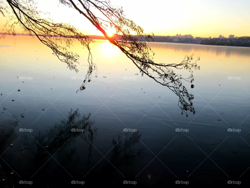 transparent and ghostly frosty day, sunset