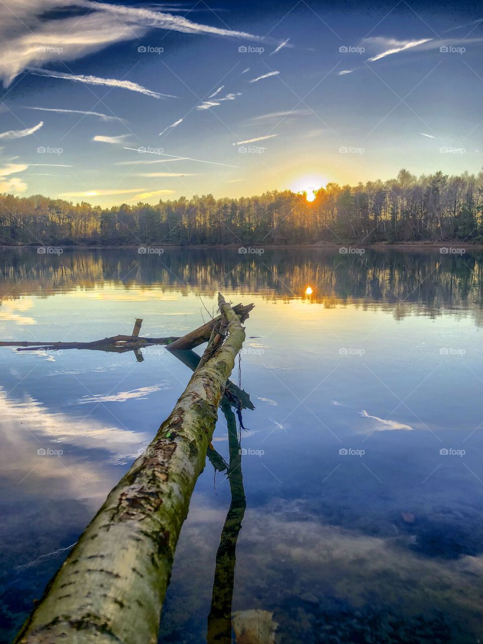 Sunset or sunrise behind the forest as seen from the shore of a lake with a branch leading into the picture and the blue sky and white fluffy clouds reflected in the water surface