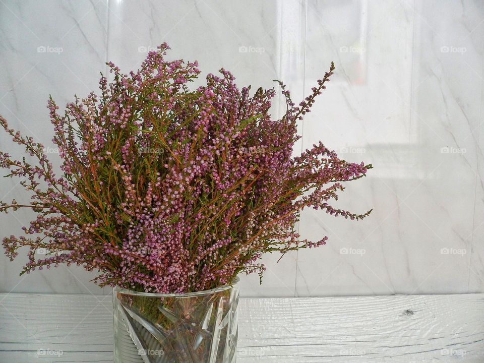 flowers in a vase