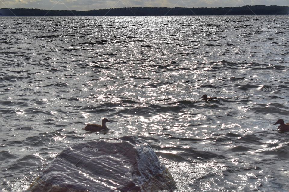 magical night and sunset