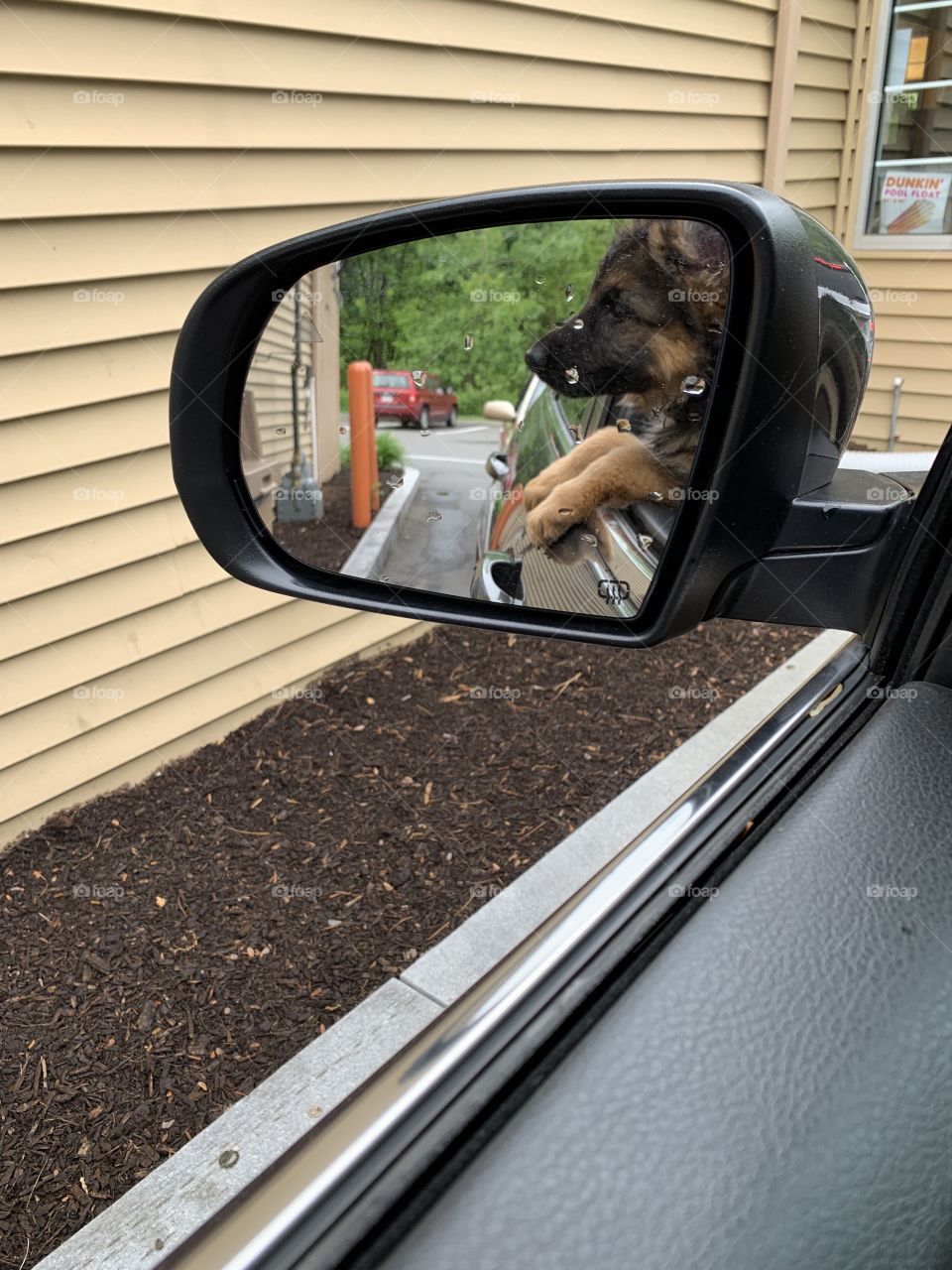 Waiting for Dunkin’ Donuts