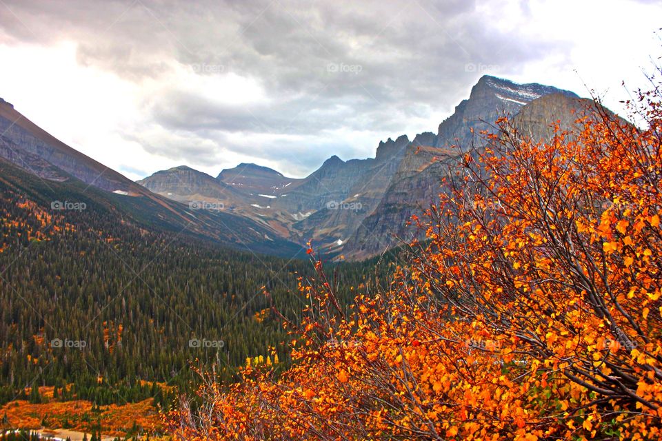 Autumn colors in the nature 