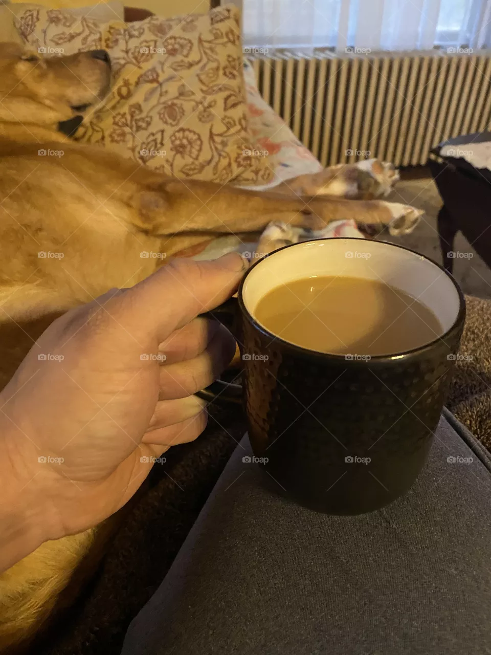 Good morning 