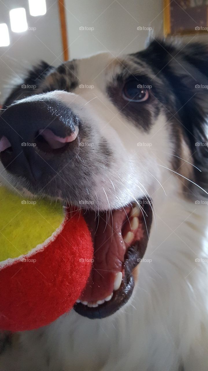 see my ball