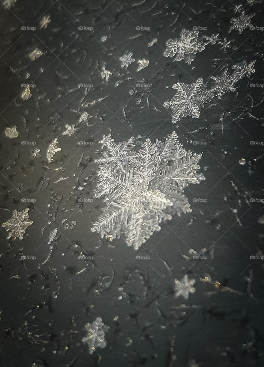It's Beginning to Look Alot Like winter. beautifully delicate snowflakes on a cold November morning.