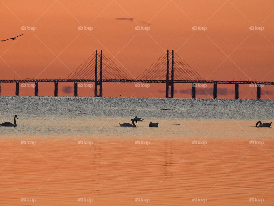 Öresundsbron in orange