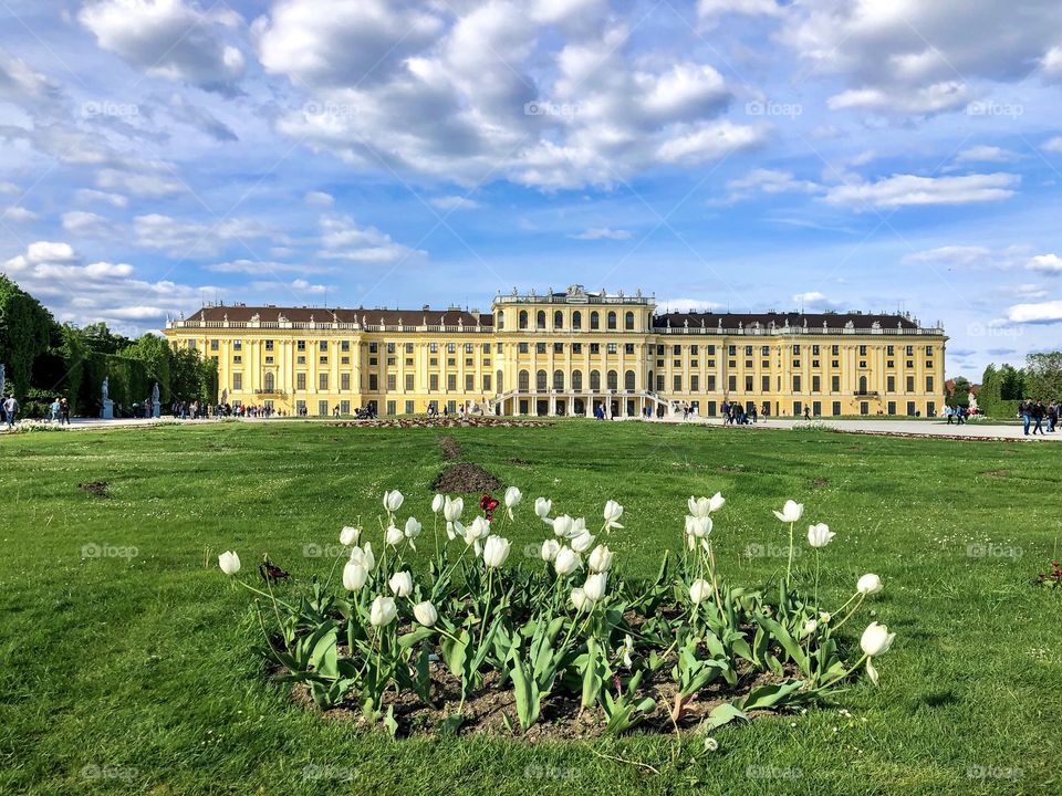 Schonbrunn Vienna in spring 