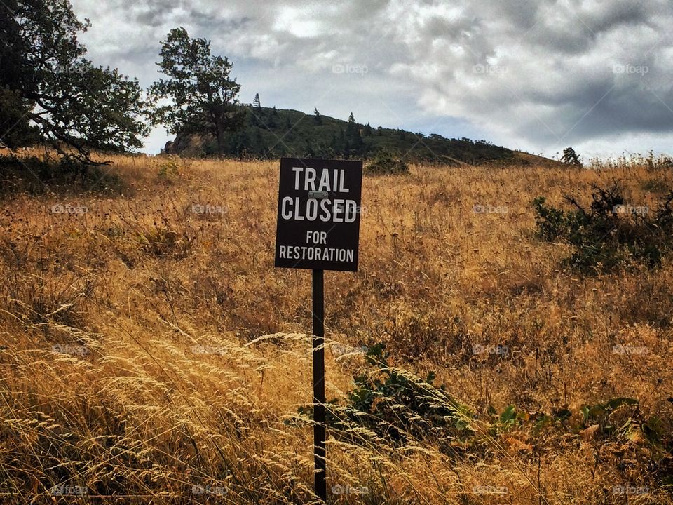 Hiking in Oregon on an off beaten path 