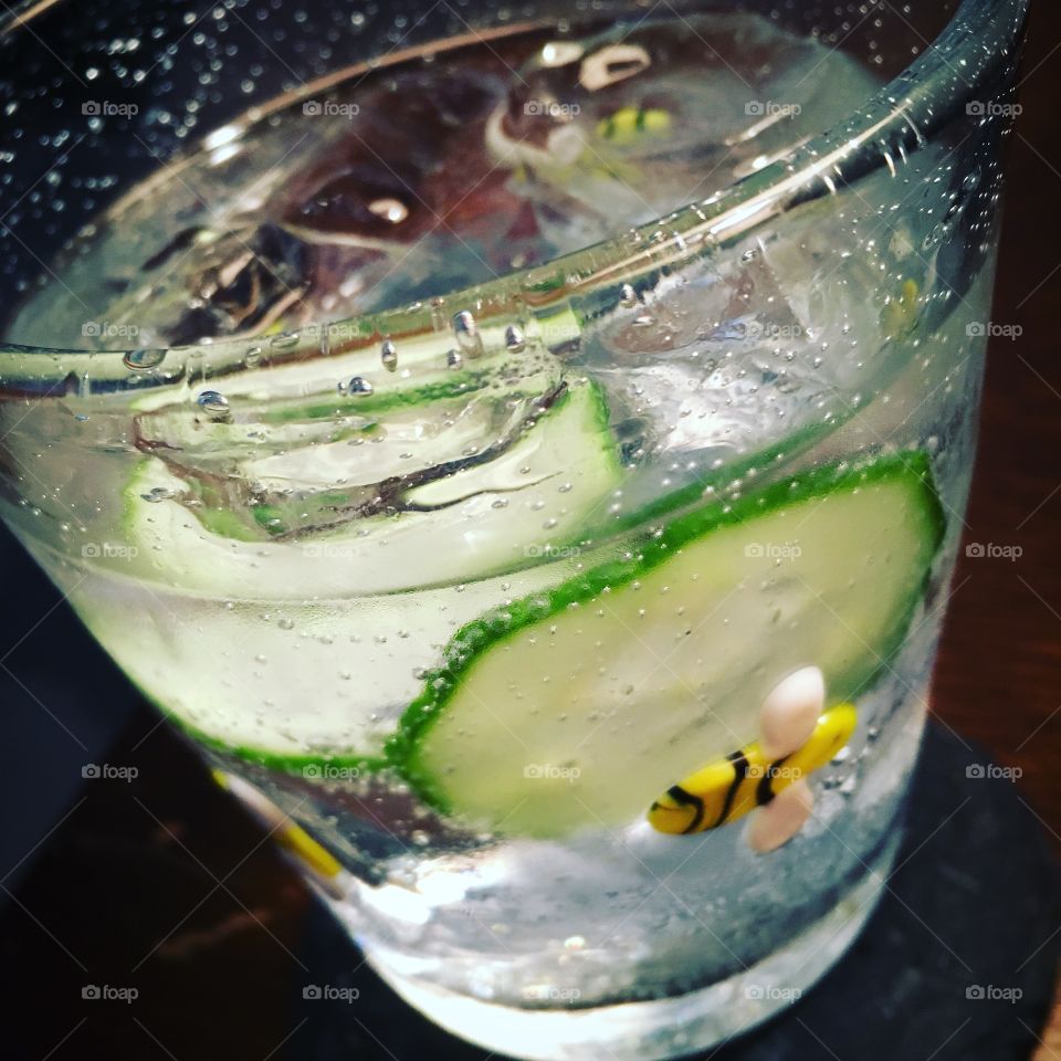 Hendricks gin and tonic with sliced cucumber in embossed bee glass