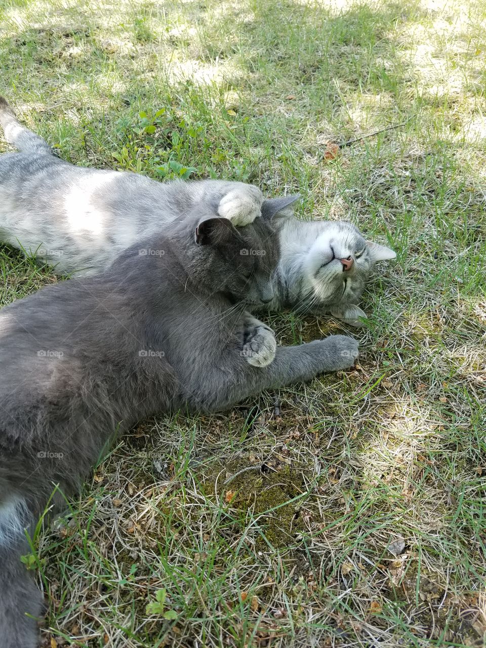 bringing purpose to our lives