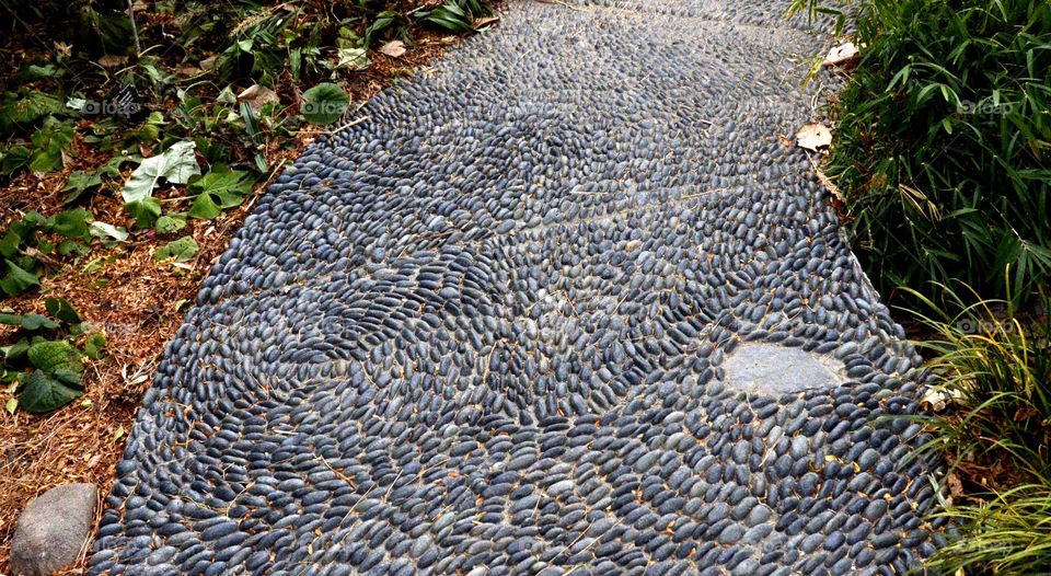 Japanese Garden Path