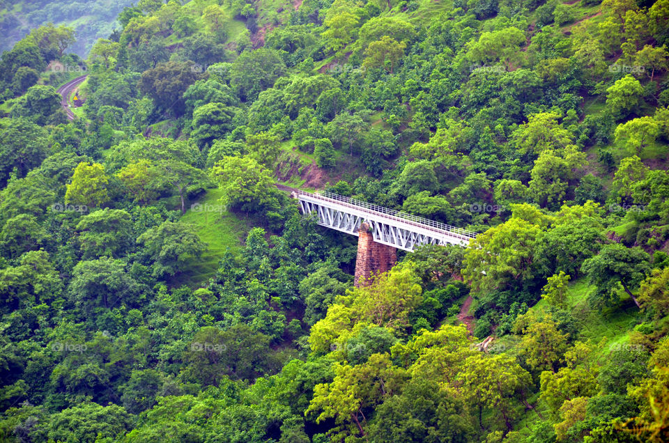 the bridge is so beautiful