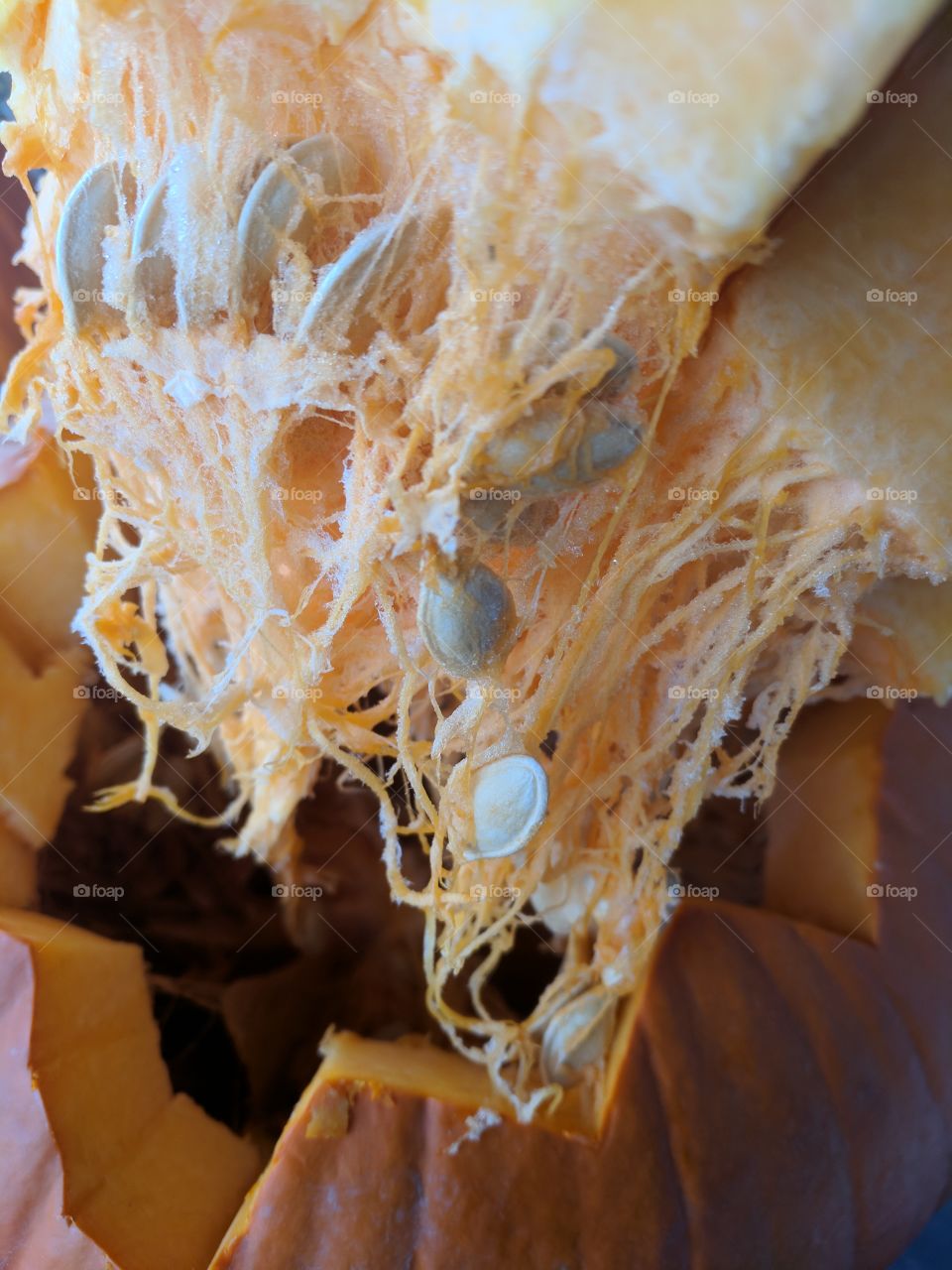 Pumpkin Goo Pumpkin Seeds