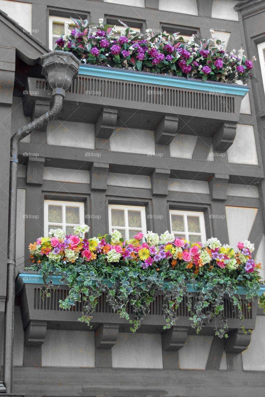 Flower Boxes - color/black 