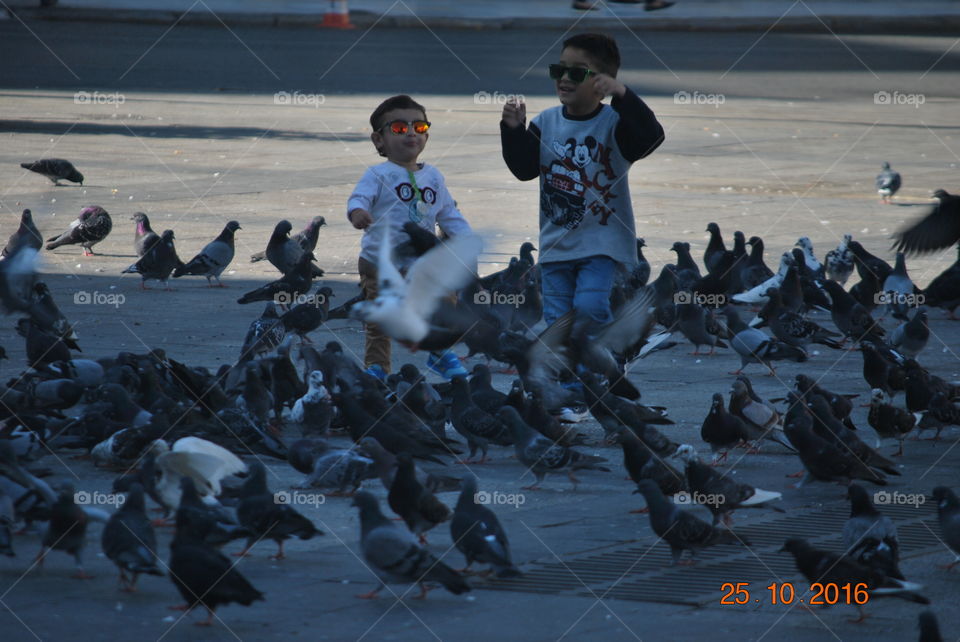playing with the pigeon 
this photo was taken fall time at Athens city